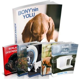 Bony'nin Yolu - Köpek Eğitimi